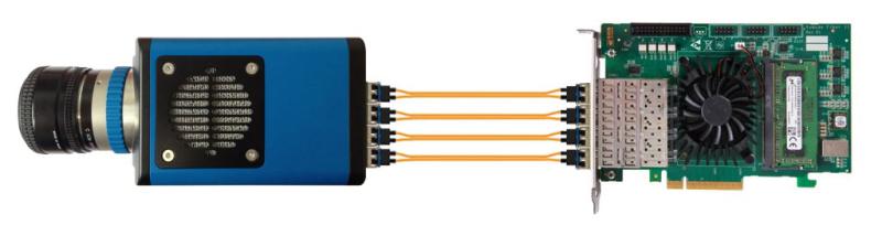 Single Topology Kaya Komodo 4x SPF plus Frame Grabber showing the card and 1x camera link. 