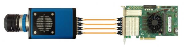 Single Topology Kaya Komodo 4x SPF plus Frame Grabber showing the card and 1x camera link. 