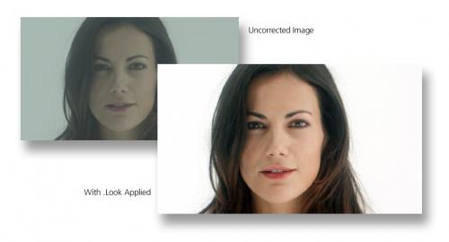 IRIDAS .look colour grading at NorPix StreamPix Studio software supporting CUDA NVIDIA. 