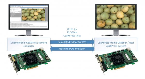 System block diagram for Kaya Chameleon II CoaXPress Camera Simulators showing the video stream simulation. 