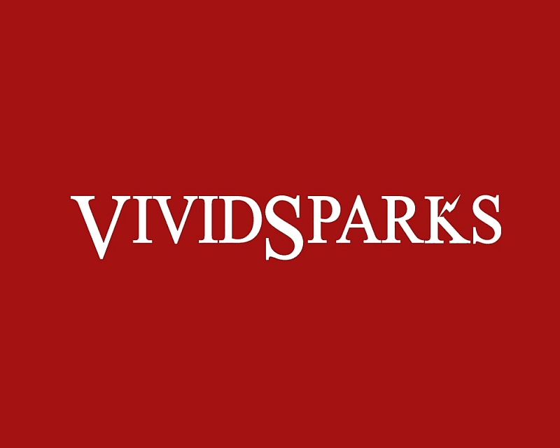 VividSparks POSIT – Sky Blue Microsystems GmbH