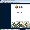 Gidel ProcFG – Sky Blue Microsystems GmbH